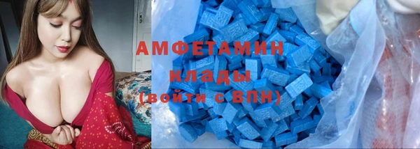 спиды Горняк