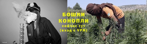 гидропоника Горно-Алтайск