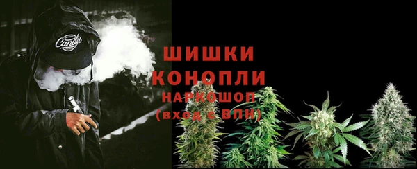 спиды Горняк