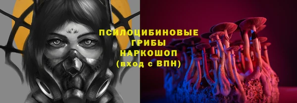 гидропоника Горно-Алтайск