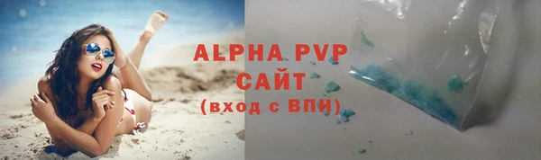 спиды Горняк