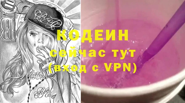 спиды Горняк