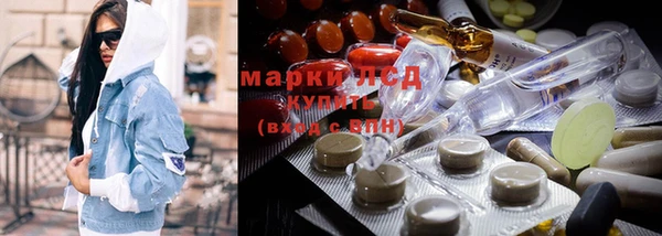 спиды Горняк