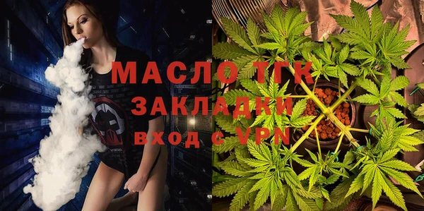 спиды Горняк