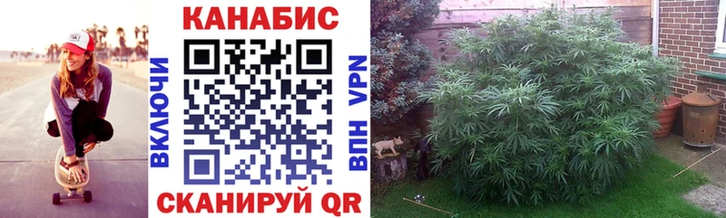 Марихуана VHQ  Нахабино 
